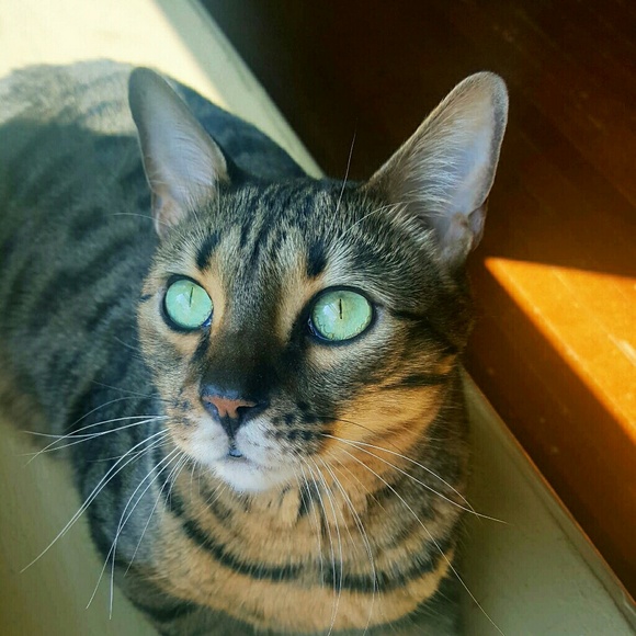 Meet your Posher, Ali! - Picture 6 of 8